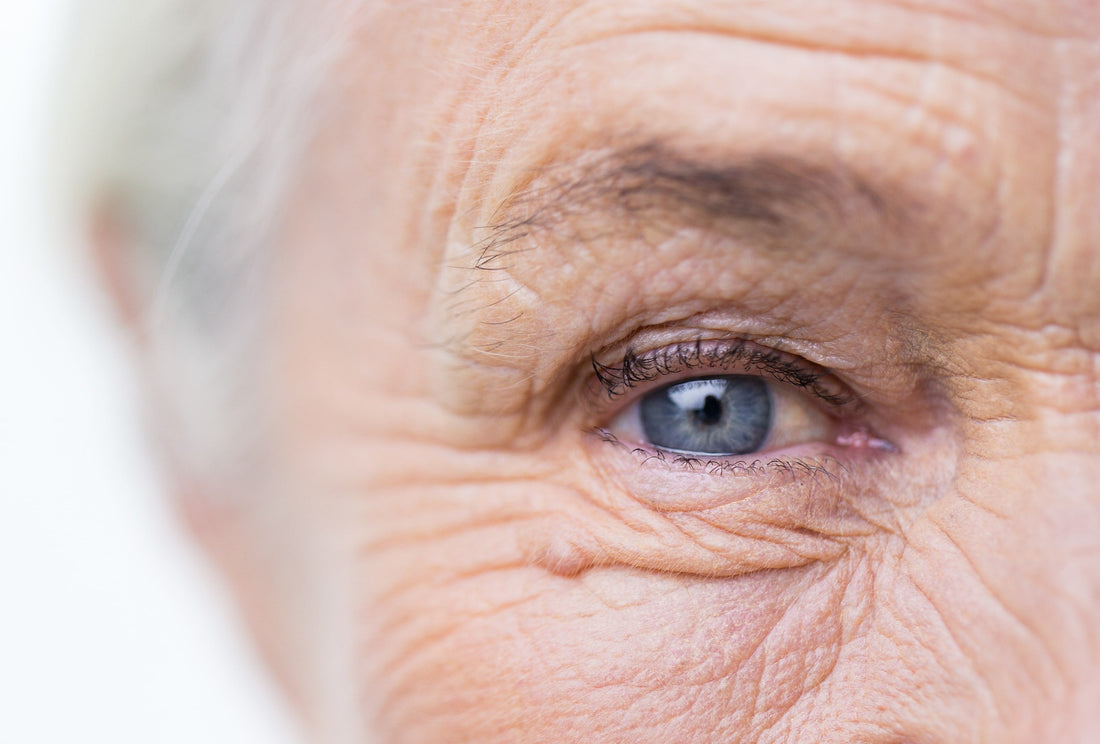 Loupes de lecture pour seniors : petits objets, grand confort visuel