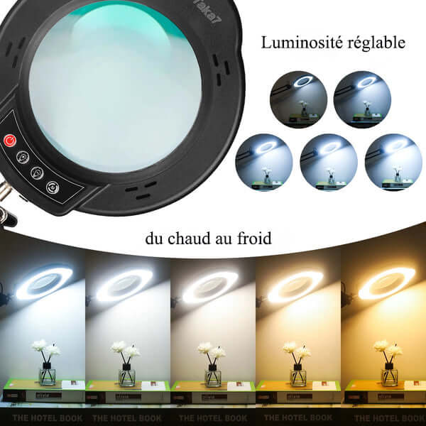 Lampe loupe LED 8X/10X avec support et éclairage 3 couleurs