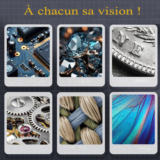 Micro Numérique 500X
